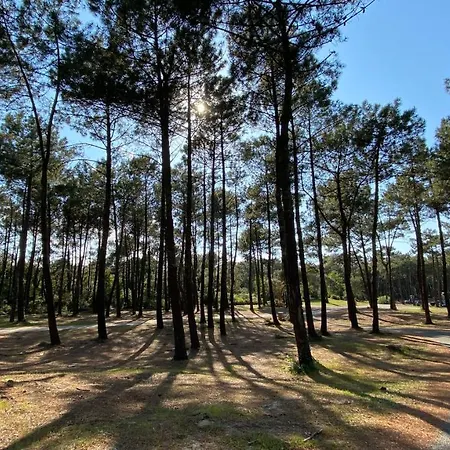 A 1,7km,golf A 900m,jacuzzi ,wifi,bbq *