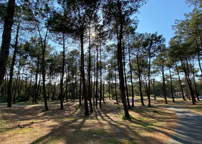 à 1,7km,golf à 900m,jacuzzi ,wifi,bbq *