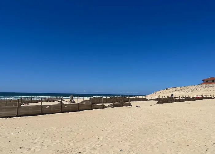 à 1,7km,golf à 900m,jacuzzi ,wifi,bbq Soustons